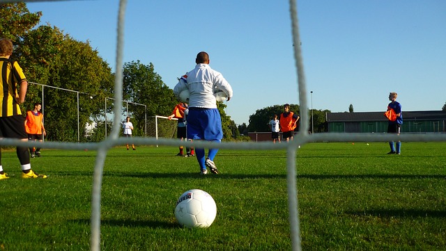 的观赛习惯 的观赛习惯