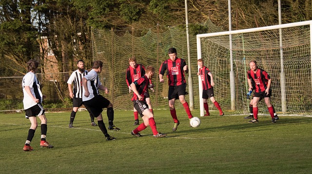 日本作为近 日本作为近