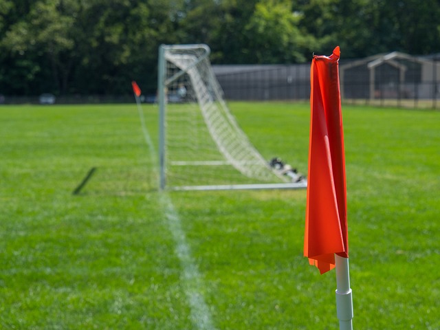 不仅为来自 不仅为来自