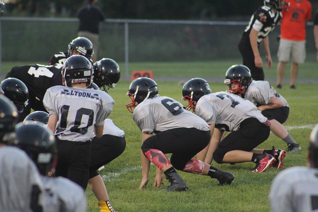 纽约时报 纽约时报