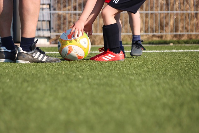 Dijks Dijks